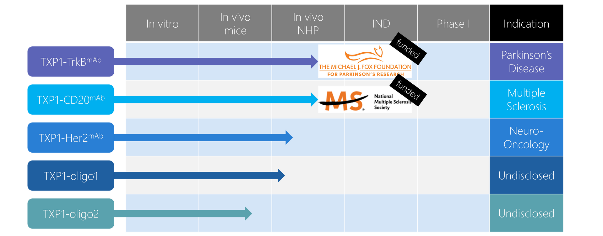 Original Ossianix pipeline chart: five TXP1 programmes with arrows across In vitro, In vivo mice and In vivo NHP columns; TXP1-TrkB and TXP1-CD20 arrows reach the IND boundary with funded labels from MJFF and the National MS Society; no arrow enters Phase I.
